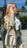Costume Élégance